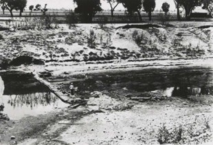 Megadrought Caused Mega Biodiversity Loss