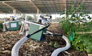 Study Shows Shade from Solar Panels Benefits Agriculture Significantly