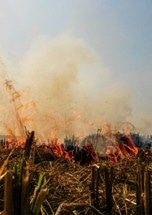 Groundwater Conservation Policies Trigger Air Pollution in Northwest India