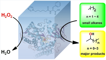 Biochemical Method for Converting Alkanes into Liquid Fuel
