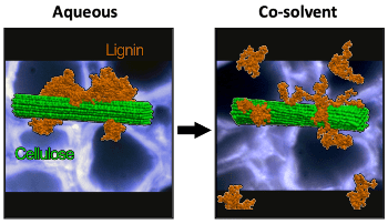 Combination Technique can Improve the Conversion of Biofuels