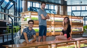 New Technology for Growing a Small Garden Right in Your Home or Office