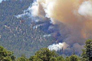Forest Restoration Means More Storage for Carbon and Less Fuel for Wildfire
