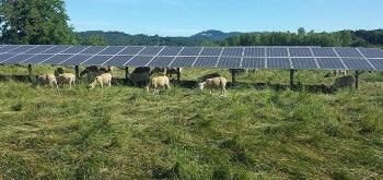 Solar Power and Agriculture Could Jointly Produce Reliable Electricity