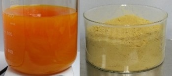 Plastic-Based Materials can Store Natural Gas and Combat Climate Change