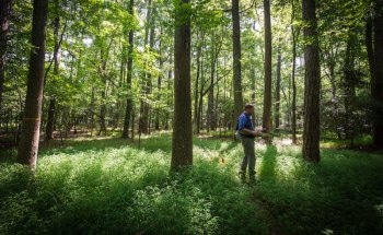 New Study May Hold Implications for Mitigation of Climate Change