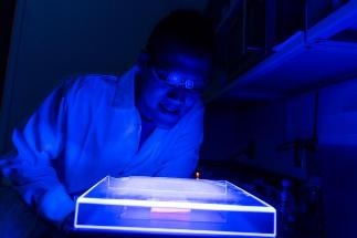 Novel Method to Use Microbes to Transform Greenhouse Gases