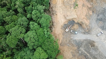 Forest the Size of the UK is Being Lost Globally Each Year
