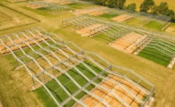 Realistic Experiments Needed to Analyze Impact of Climate Change on Ecosystems