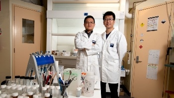 New Nontoxic, Low-Cost Foam for Removing Oil Spills