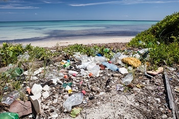 15% Increase in Plastic Bottles Washing Up on Inaccessible Island