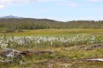 Mercury Reallocation in Arctic Circle Causes Environmental Problems