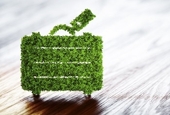 Sustainable Tourism: An Idea Whose Time Has Come