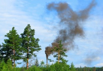 Study Suggests Restoring Native Vegetation Could Reduce Air Pollution