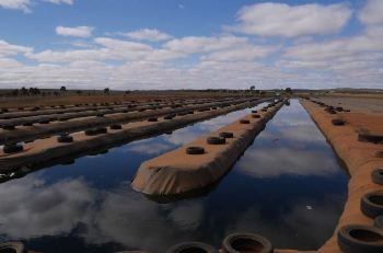When Wastewater Gives Power to the People