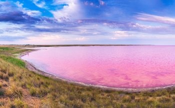 New Research on Prokaryotes Could Help Develop More Accurate Climate Models