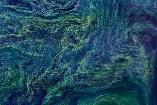 Drop in Oceanic Oxygen Levels Could Severely Affect Global Marine Nitrogen Cycle