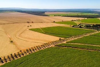 Sustainable Production of Fine Chemicals, Biofuels from Renewable Biomass