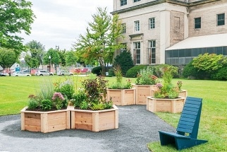 MIT’s Sustainability Garden Makes Space for Community, Plants, and Pollinators