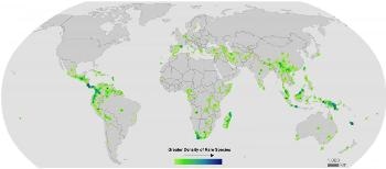 Very Rare Plant Species are at Risk of Extinction with Ongoing Climate Change
