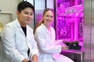 Raising Plants to Withstand Climate Change