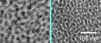 Water-Treated TESET Membrane Proves Efficient at Capturing Carbon