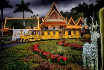 Loro Parque Celebrates 47 Years of Love for Nature and Animals