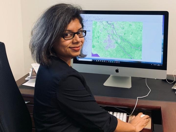 Assessing Forests From Afar