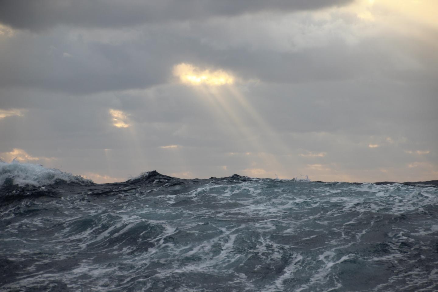 Smaller Than Expected Phytoplankton May Mean Less Carbon Sequestered At Sea Bottom