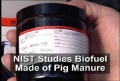 Crude Oil Made from Pig Manure