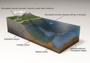 Scientists Find Highest Ever Level of Microplastics on Seafloor