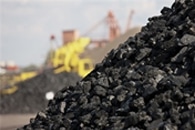 Green Developments can Damage Marine and Coastal Environment