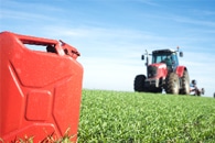 Cover Cropping may Lead to More Sustainable Crop Production