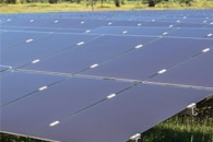 Roll-to-Roll Printed Perovskite Solar Cells Deliver Record Efficiency
