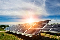 Tinted Solar Panels Help Produce and Nutritionally Superior Crops Simultaneously