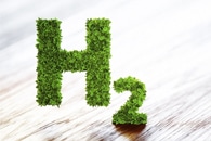 Discovery Provides Better Understanding of Hydrogen Depletion at the Seafloor