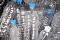 Bioplastic Disposable Dishes can Damage the Marine Environment