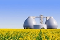 Salk’s HPI Receives $30 Million from Bezos Earth Fund to Offset Climate Change