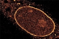 Relation Between Climate Change and Infectious Diseases Unknown to Half of the Population