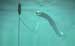 Anaconda Rubber Snake Turns Wave Energy Into Electricity