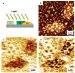 A New Way Of Developing Efficient and Inexpensive Solar Cells and Plastic Electronic Devices