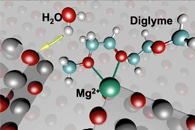 Conagen Announces Breakthrough Development in Natural, Sustainable Macrocyclic Musk Lactones