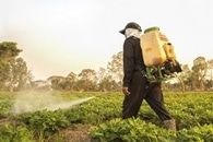 Deforestation Caused by Big Commodity Farms Accelerates Climate Change
