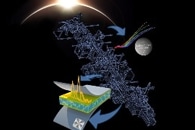 Synergistic Effect of the Arctic and Tropical Pacific Causes Extreme Climate in Northern Hemisphere