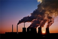 Plants' Response to Climate Stress may Become Visible Only Years Later