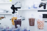 Continental Divide in Forest Seed Production is Driven by Climate Change