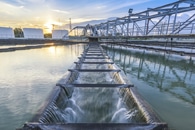 Decline in Emergent Insects Appears to be Driven by Pollution of Water Bodies