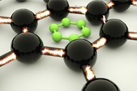 New Method can Lead to More Eco-Friendly Fungicides That Protect Food Crops