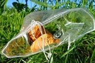 Researchers Study Causes of Consumer Resistance to Sustainability Interventions