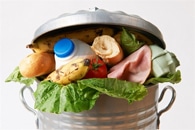 Right to Food Approach Could Reduce On-Farm Losses of Edible Food
